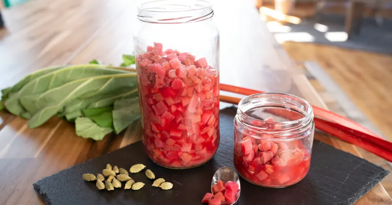Rhubarbe lacto-fermentée
