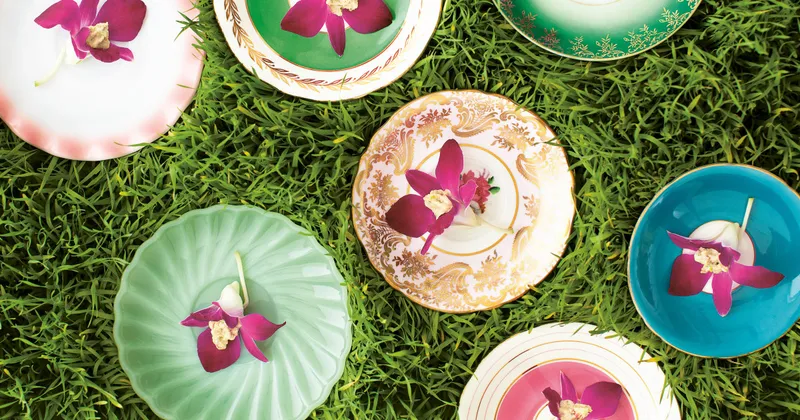 Orchidées farcies