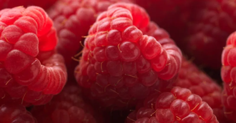 Vinaigrette aux framboises