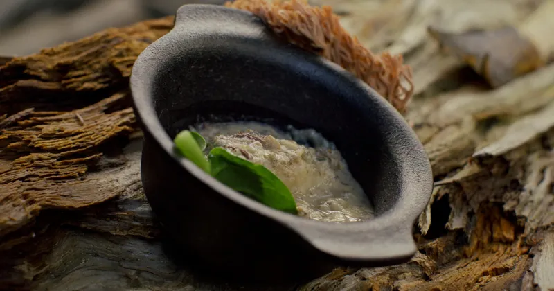 Quenelles de brochet