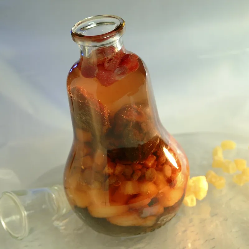 Vin de fruits secs et de pimbina