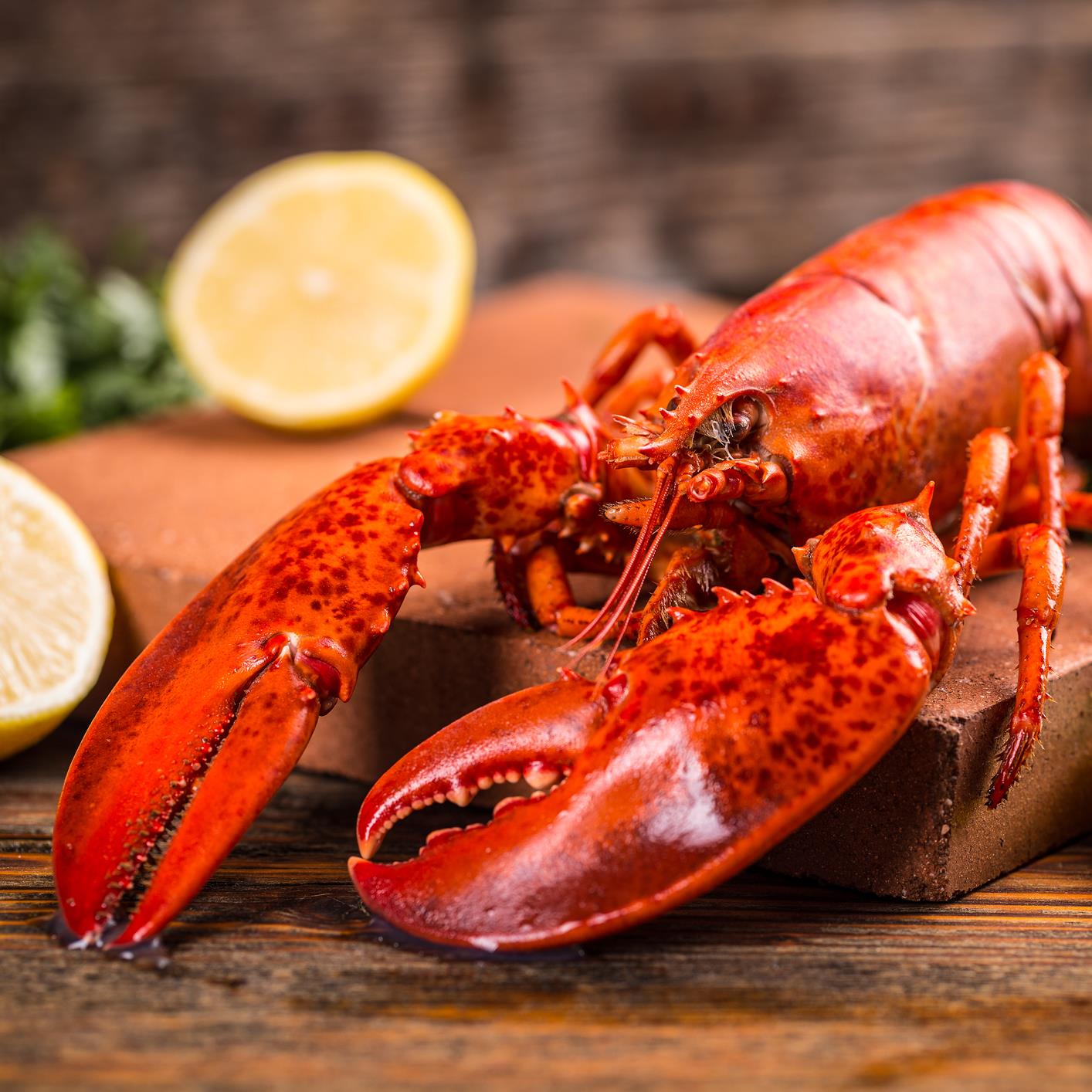 Ragoût de homard au whisky et aux petits légumes