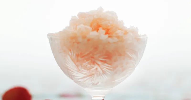 Granité aux litchis, à l'eau de rose et au champagne
