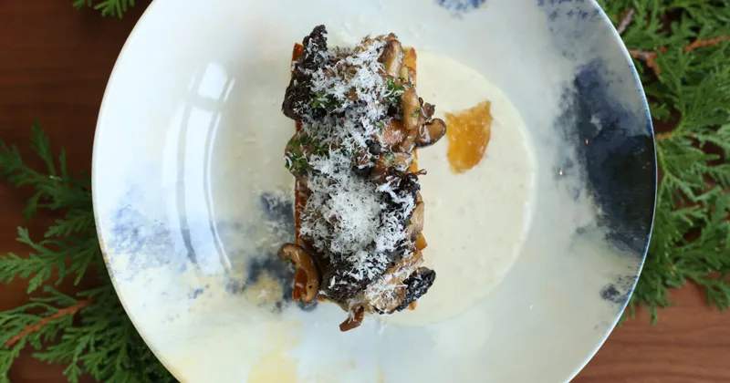 « Crostone » de champignons sauvages