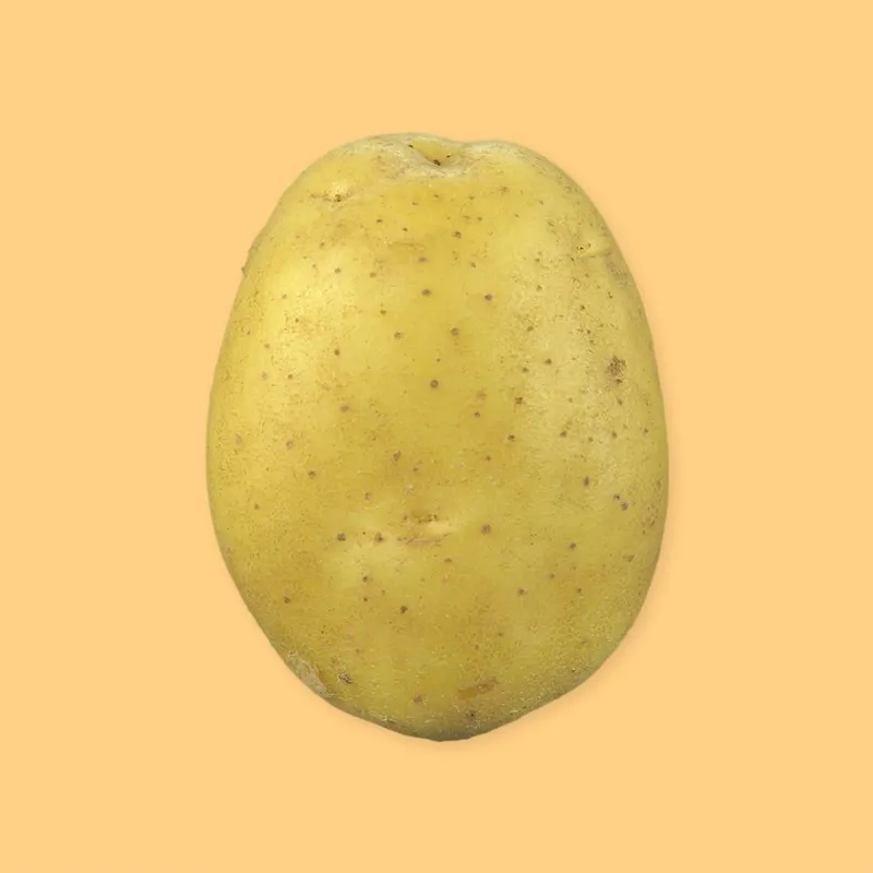 Pomme de terre ratte, raclette et grison